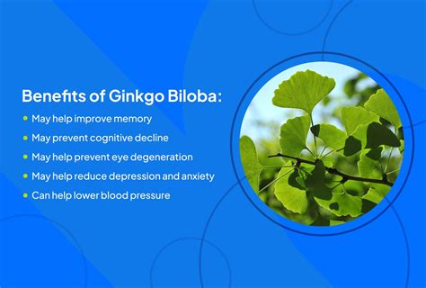 Ginkgo biloba: Health benefits, side effects, risks, and history.
